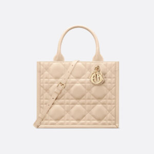 Sac Dior Book Tote Small - #10