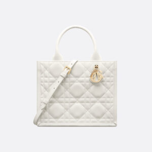 Sac Dior Book Tote Small - #6