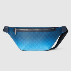 Sac ceinture Gucci Chroma grand format